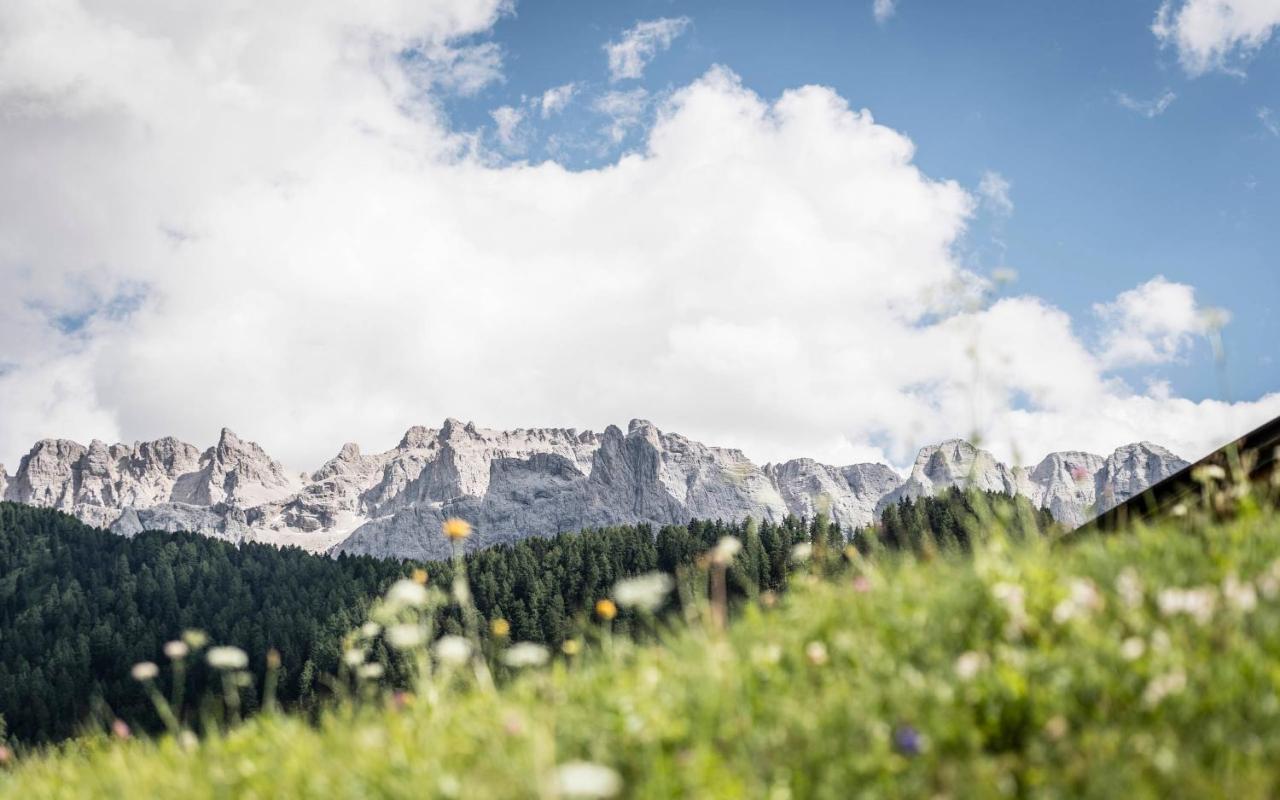 Cadepunt The Dolomites Lodge Sëlva di Val Gardena Eksteriør billede
